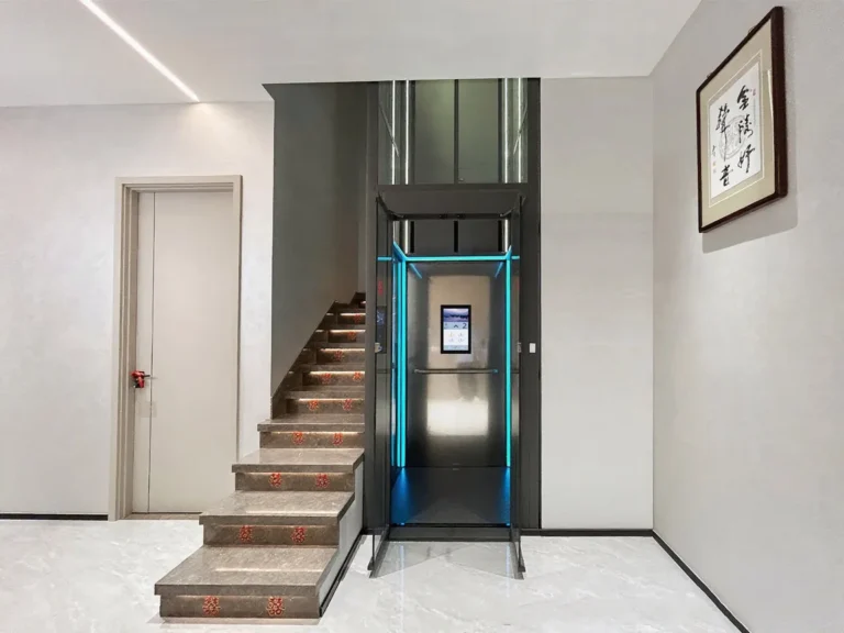 Gray home sightseeing elevator (1)