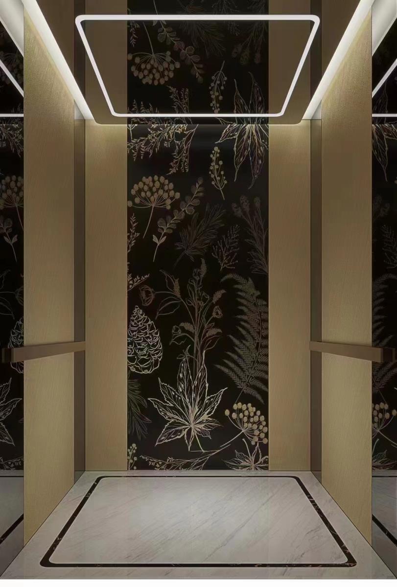 HAOKUN MRL elevator deluxe cabin interior
